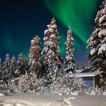 Terra Ultima Villa Rovaniemi Dış mekan fotoğraf