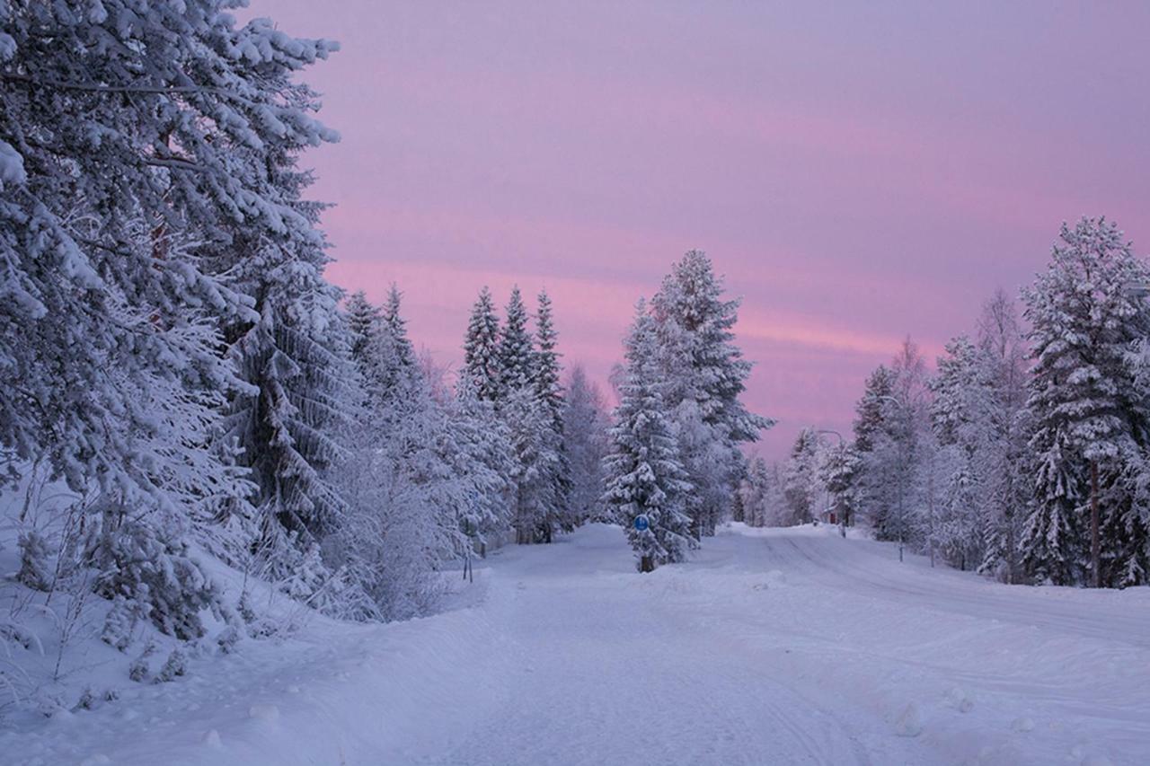 Terra Ultima Villa Rovaniemi Dış mekan fotoğraf