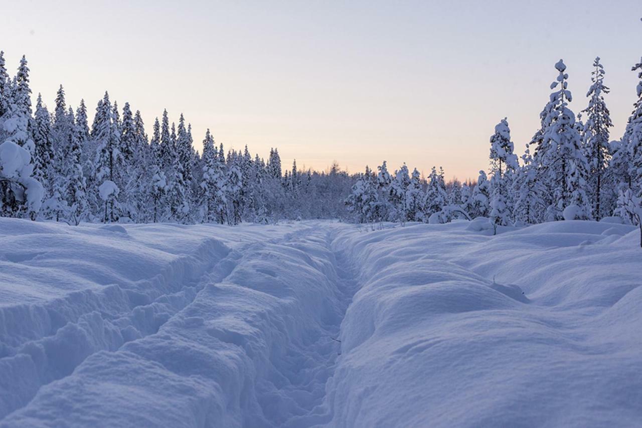 Terra Ultima Villa Rovaniemi Dış mekan fotoğraf