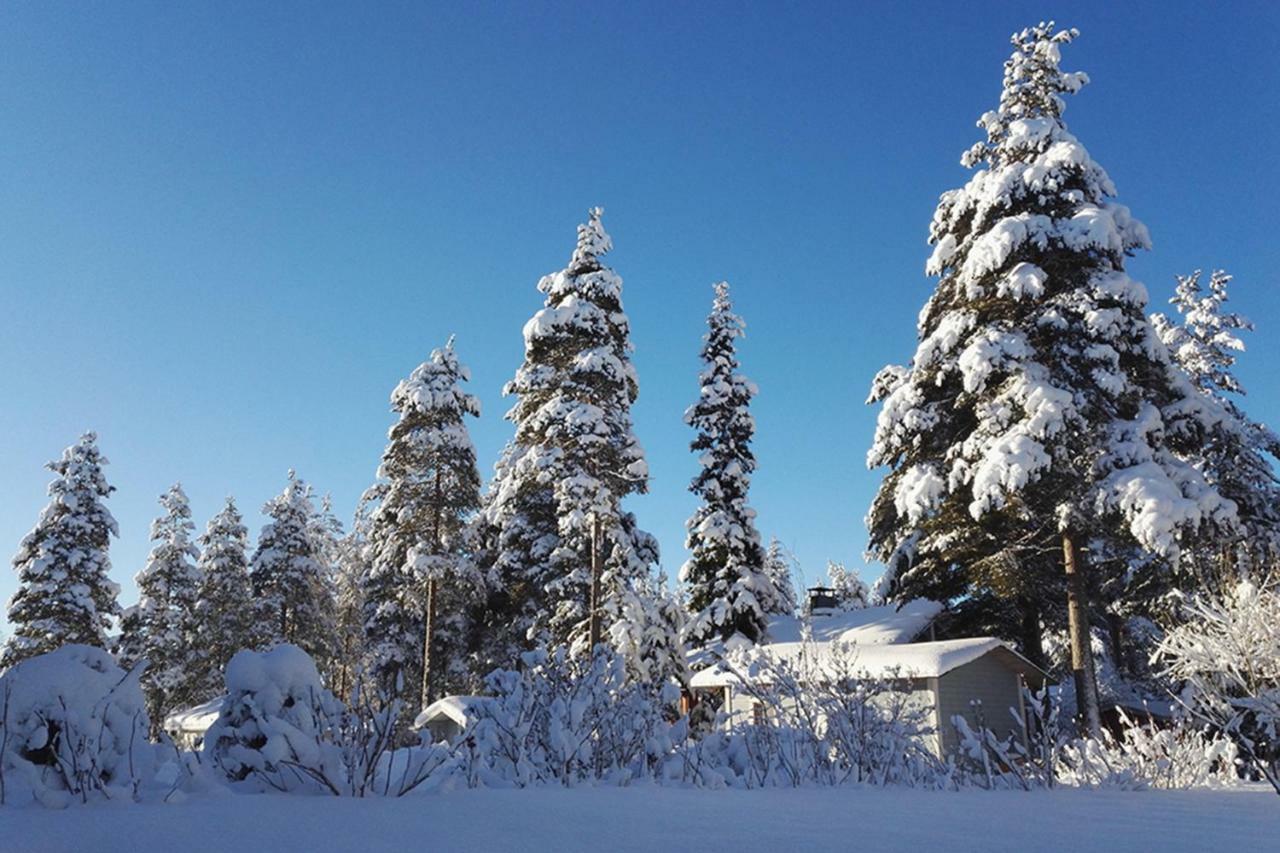 Terra Ultima Villa Rovaniemi Dış mekan fotoğraf