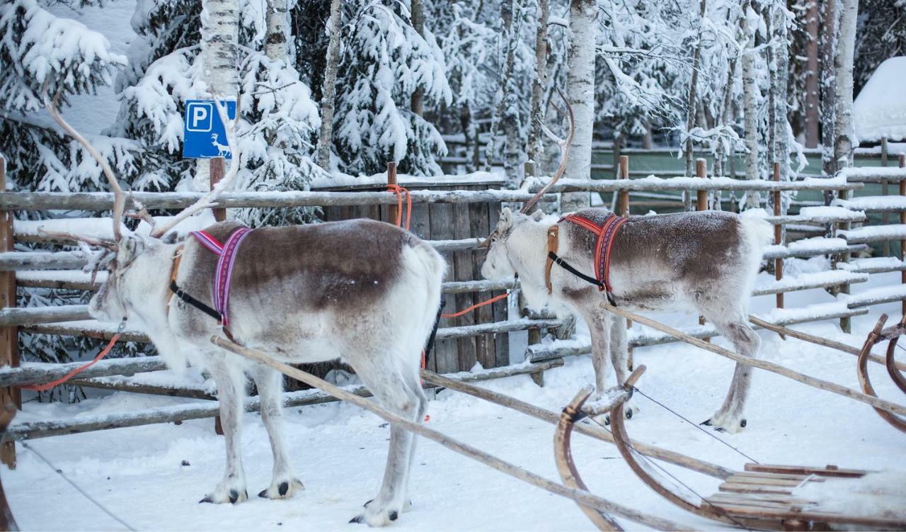 Terra Ultima Villa Rovaniemi Dış mekan fotoğraf
