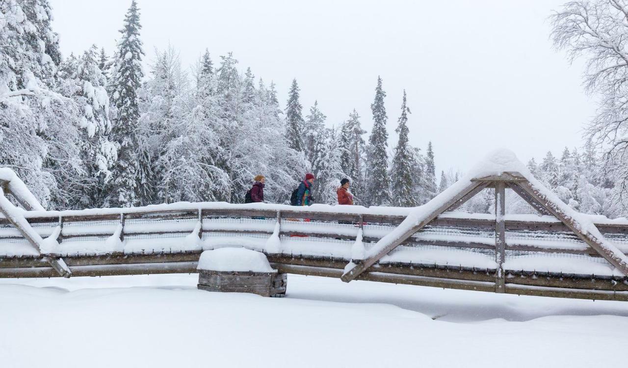 Terra Ultima Villa Rovaniemi Dış mekan fotoğraf