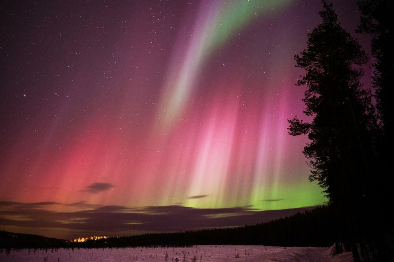 Terra Ultima Villa Rovaniemi Dış mekan fotoğraf