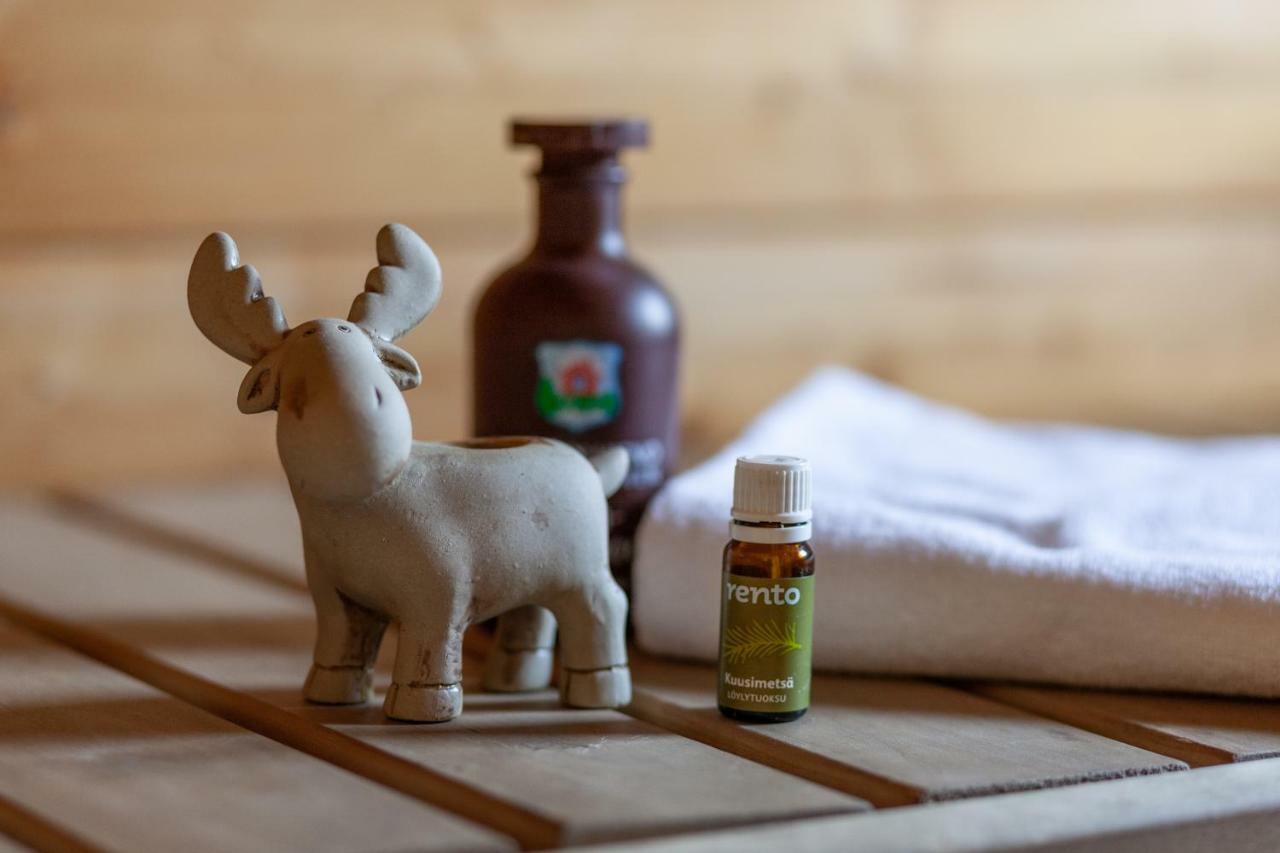 Terra Ultima Villa Rovaniemi Dış mekan fotoğraf
